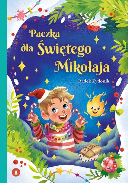 okładka Paczka dla Świętego Mikołaja książka | Radek Żydonik