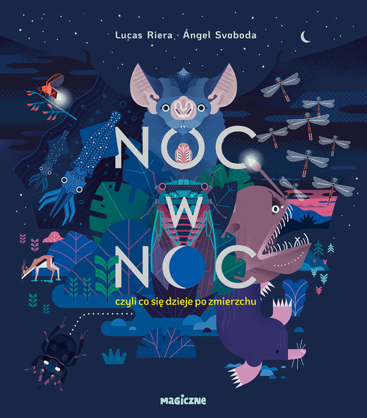 okładka Noc w noc, czyli co się dzieje po zmierzchu książka