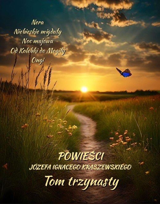 okładka Powieści Józefa Ignacego Kraszewskiego. Tom 13 ebook | epub, mobi | Józef Ignacy Kraszewski