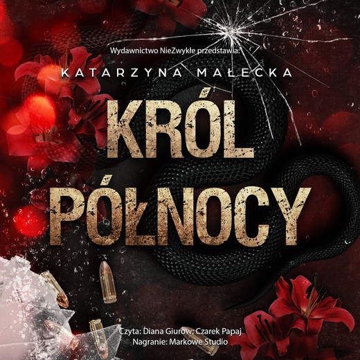 okładka Król północy audiobook | MP3 | Katarzyna Małecka