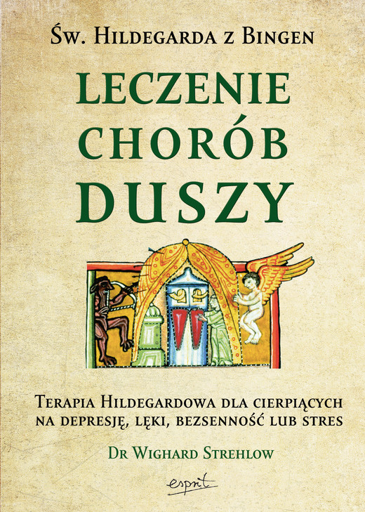 okładka Leczenie chorób duszy ebook | epub, mobi | Wighard Strehlow