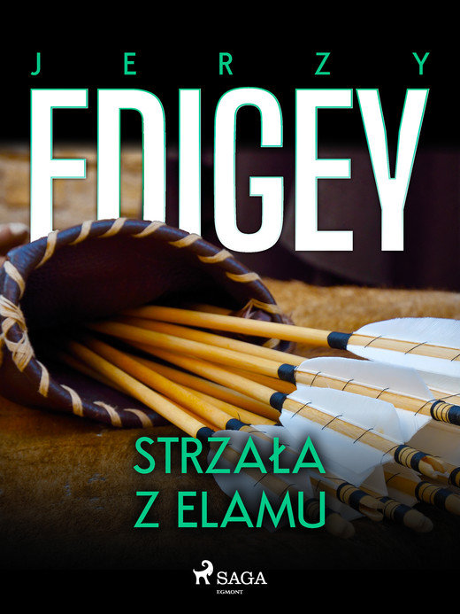 okładka Strzała z Elamu ebook | epub, mobi | Edigey Jerzy