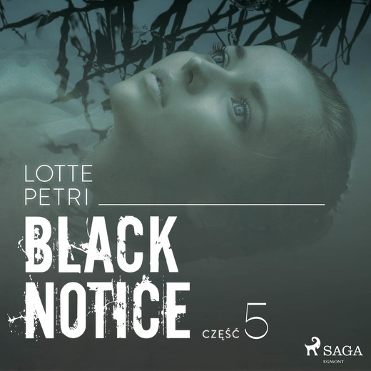 okładka Black notice: część 5 audiobook | MP3 | Lotte Petri