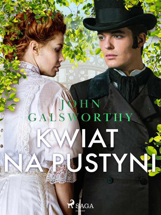 okładka Kwiat na pustyni ebook | epub, mobi | John Galsworthy