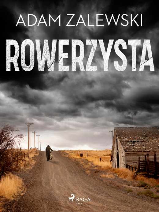 okładka Rowerzysta ebook | epub, mobi | Adam Zalewski