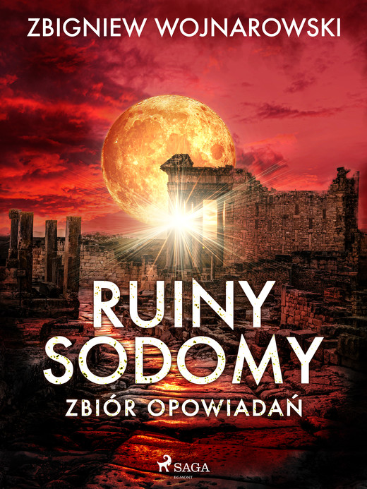 okładka Ruiny Sodomy - zbiór opowiadań ebook | epub, mobi | Zbigniew Wojnarowski