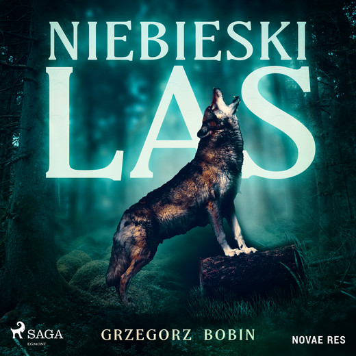 okładka Niebieski las audiobook | MP3 | Grzegorz Bobin