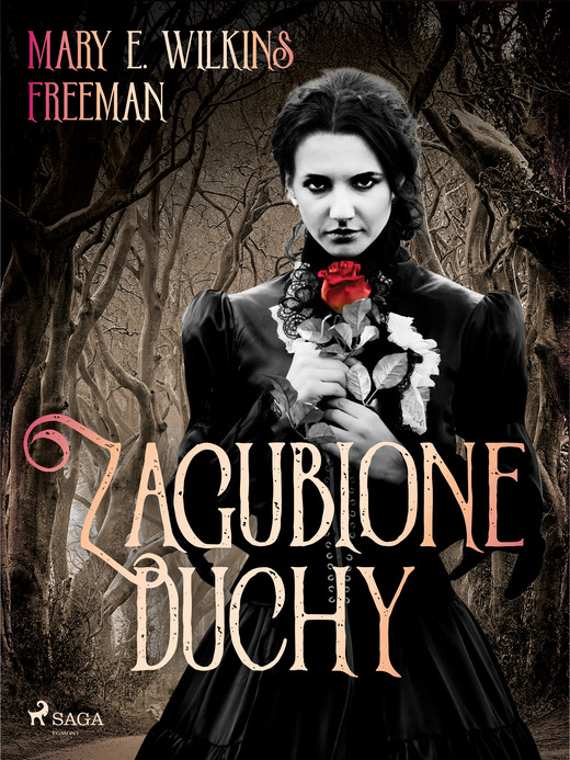okładka Zagubione duchy ebook | epub, mobi | Mary E. Wilkins Freeman