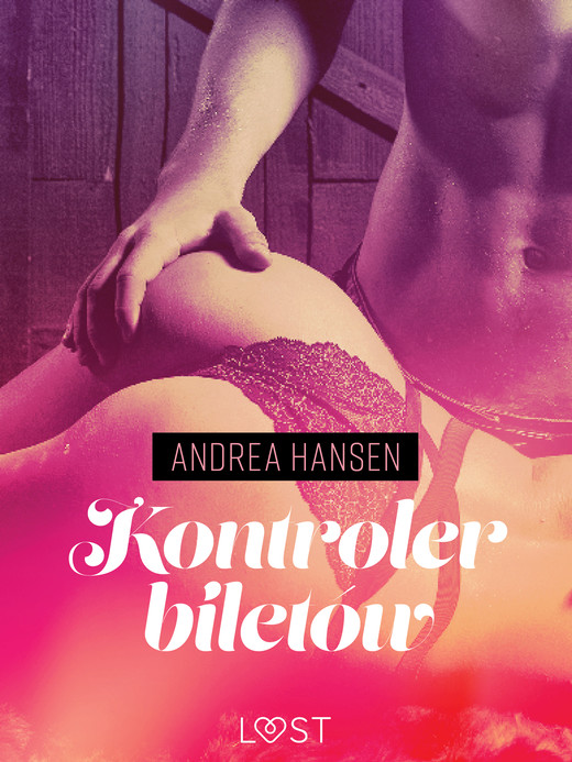 okładka Kontroler biletów - opowiadanie erotyczne ebook | epub, mobi | Andrea Hansen