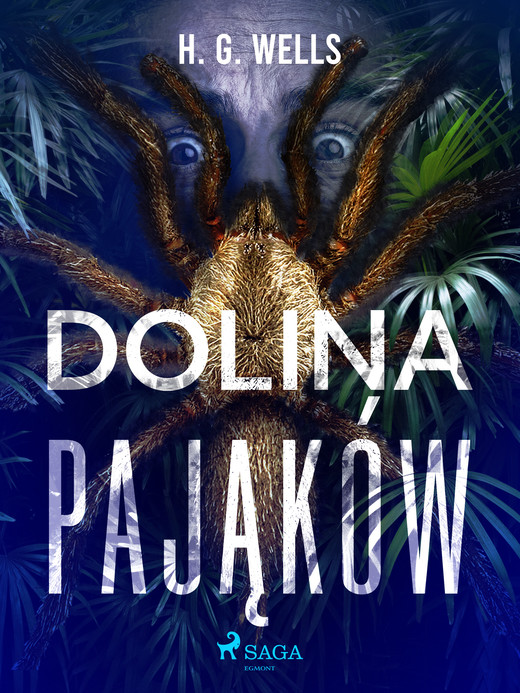 okładka Dolina pająków ebook | epub, mobi | H. G. Wells