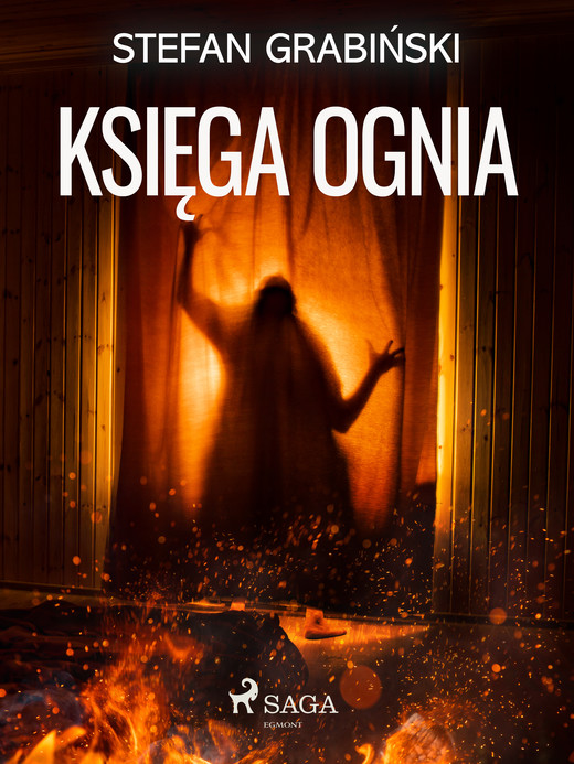okładka Księga ognia ebook | epub, mobi | Stefan Grabiński