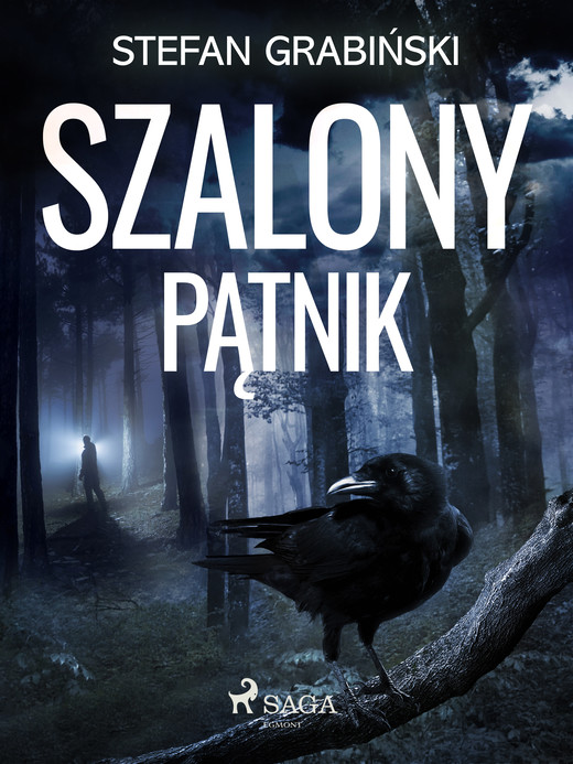 okładka Szalony pątnik ebook | epub, mobi | Stefan Grabiński