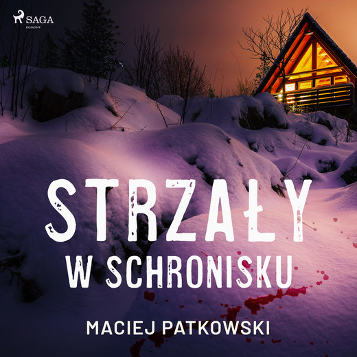 okładka Strzały w schronisku audiobook | MP3 | Patkowski Maciej