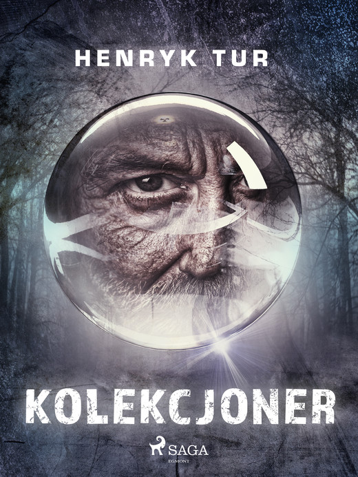okładka Kolekcjoner ebook | epub, mobi | Tur Henryk