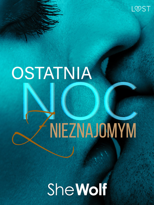 okładka Ostatnia noc z nieznajomym – opowiadanie erotyczne ebook | epub, mobi | SheWolf