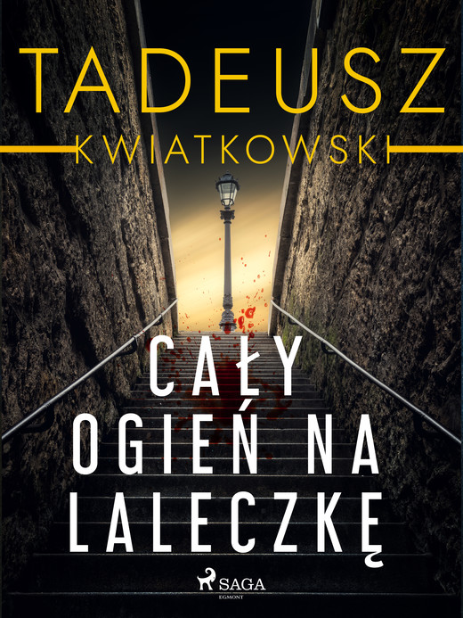okładka Cały ogień na laleczkę ebook | epub, mobi | Tadeusz Kwiatkowski