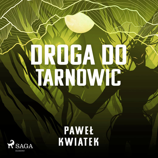 okładka Droga do Tarnowic audiobook | MP3 | Paweł Kwiatek