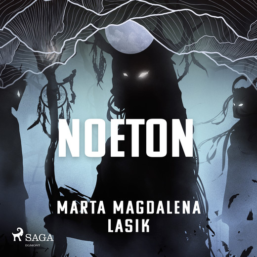 okładka Noeton audiobook | MP3 | Marta Magdalena Lasik