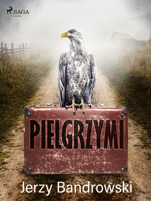 okładka Pielgrzymi ebook | epub, mobi | Jerzy Bandrowski