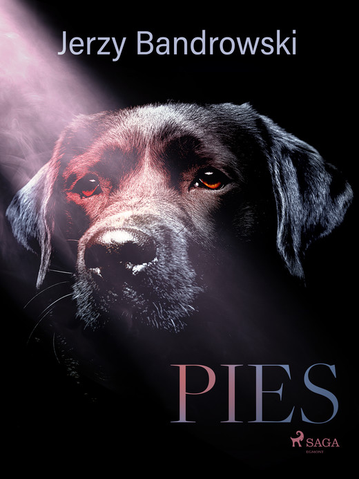 okładka Pies ebook | epub, mobi | Jerzy Bandrowski