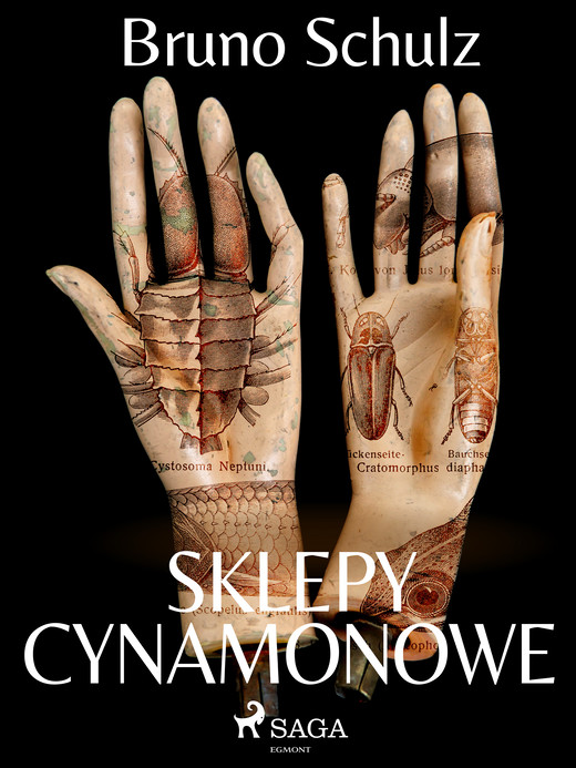 okładka Sklepy cynamonowe - zbiór ebook | epub, mobi | Bruno Schulz