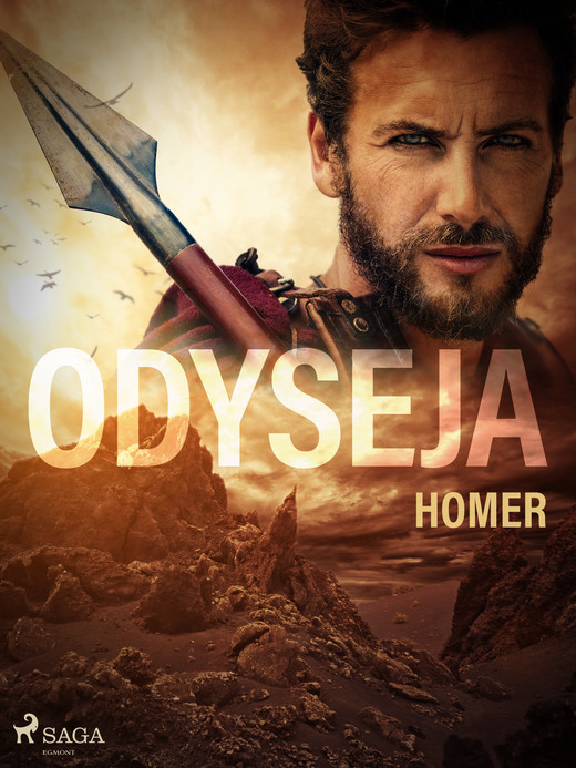 okładka Odyseja ebook | epub, mobi | Homer