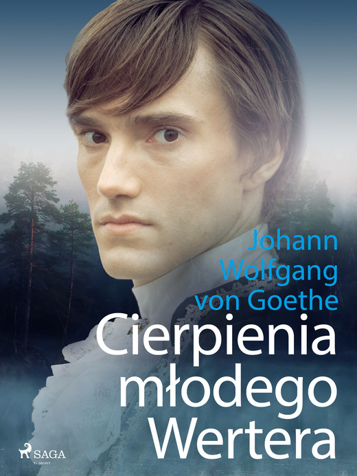 okładka Cierpienia młodego Wertera ebook | epub, mobi | Johann Wolfgang von Goethe