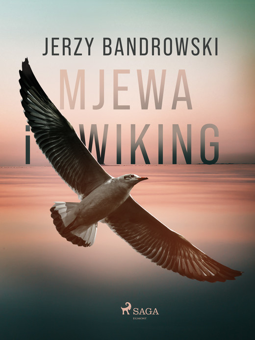 okładka Mjewa i Wiking ebook | epub, mobi | Jerzy Bandrowski