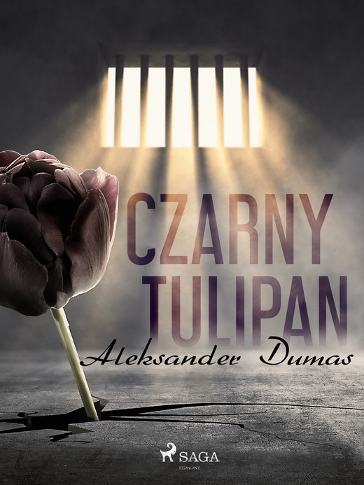 okładka Czarny tulipan ebook | epub, mobi | Aleksander Dumas