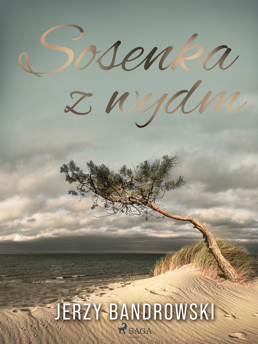 okładka Sosenka z wydm ebook | epub, mobi | Jerzy Bandrowski