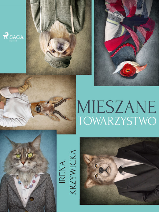 okładka Mieszane towarzystwo ebook | epub, mobi | Irena Krzywicka