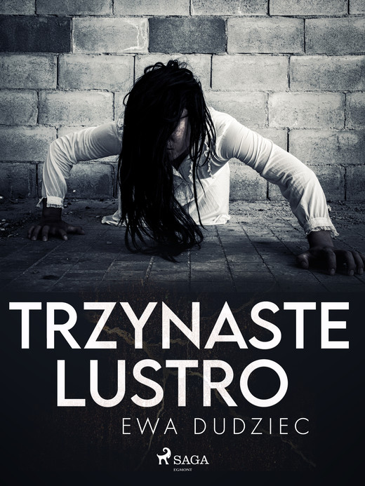 okładka Trzynaste lustro ebook | epub, mobi | Ewa Dudziec