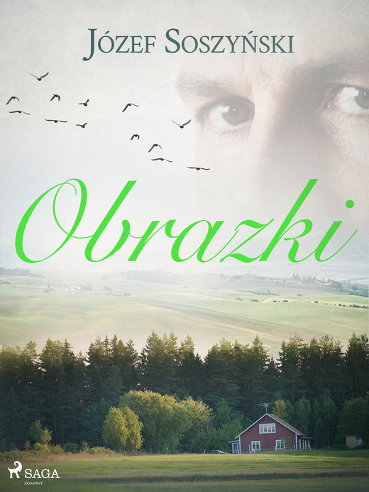 okładka Obrazki ebook | epub, mobi | Józef Soszyński