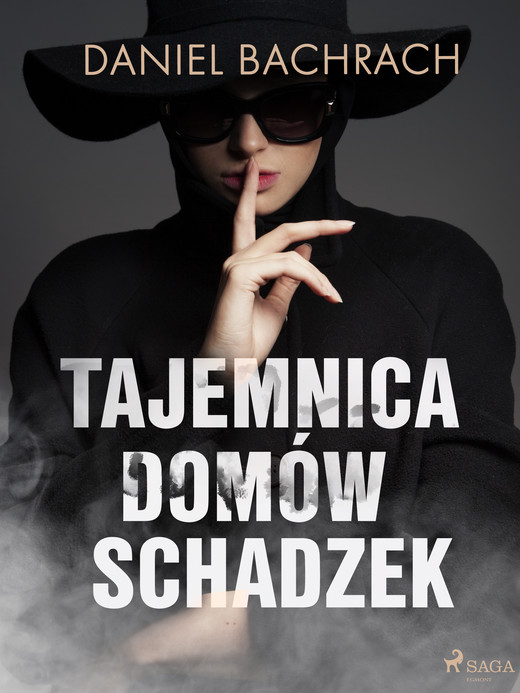 okładka Tajemnica domów schadzek ebook | epub, mobi | Daniel Bachrach
