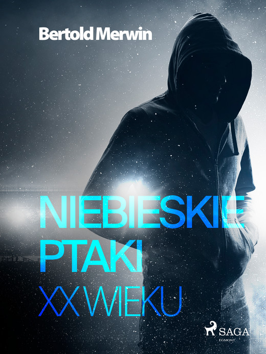 okładka Niebieskie ptaki XX wieku ebook | epub, mobi | Merwin Bertold