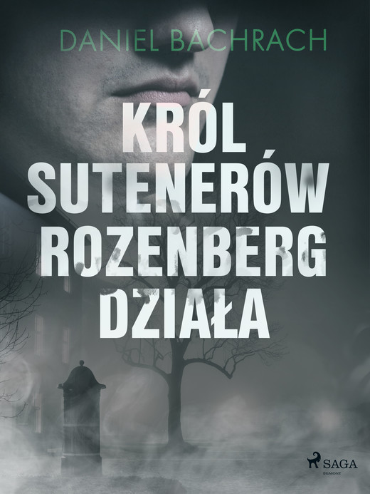 okładka Król sutenerów Rozenberg działa ebook | epub, mobi | Daniel Bachrach