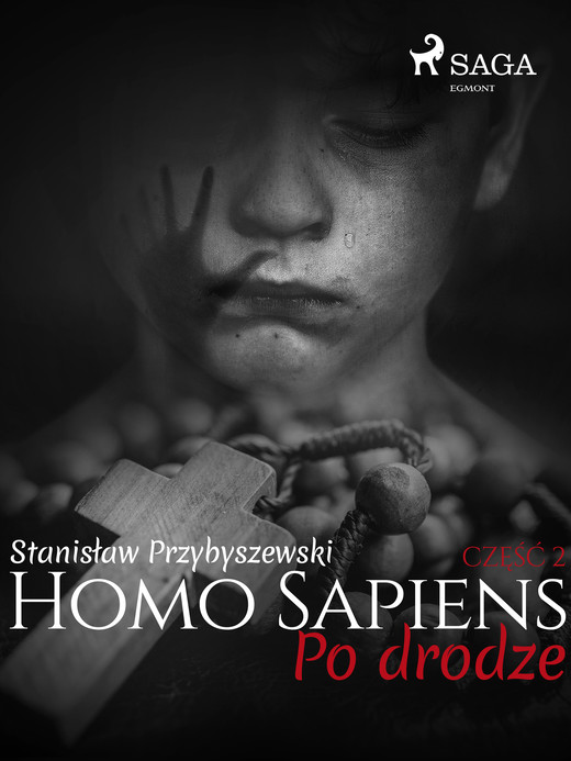 okładka Homo Sapiens 2: Po drodze ebook | epub, mobi | Stanisław Przybyszewski