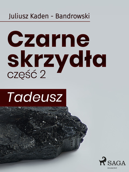 okładka Czarne skrzydła 2 - Tadeusz ebook | epub, mobi | Juliusz Kaden-Bandrowski