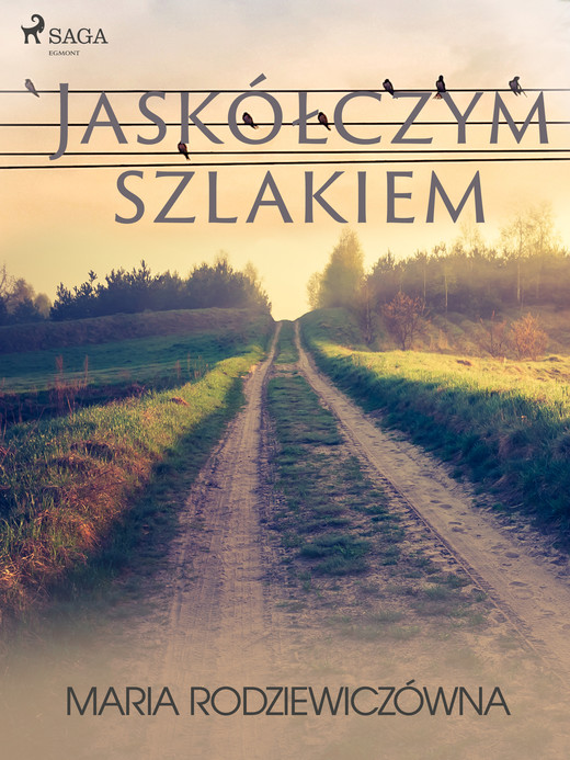 okładka Jaskółczym szlakiem ebook | epub, mobi | Maria Rodziewiczówna