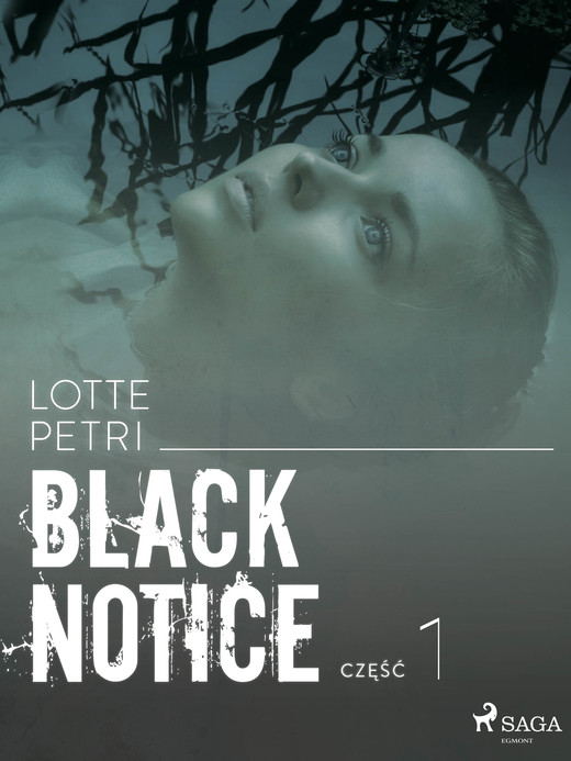 okładka Black notice: część 1 ebook | epub, mobi | Lotte Petri