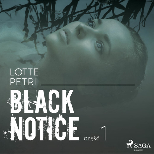 okładka Black notice: część 1 audiobook | MP3 | Lotte Petri