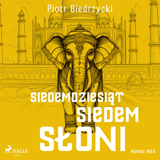 okładka Siedemdziesiąt siedem słoni audiobook | MP3 | Piotr Biedrzycki