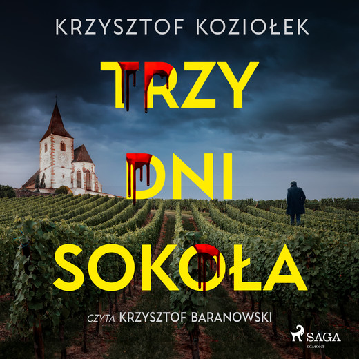 okładka Trzy dni Sokoła audiobook | MP3 | Krzysztof Koziołek