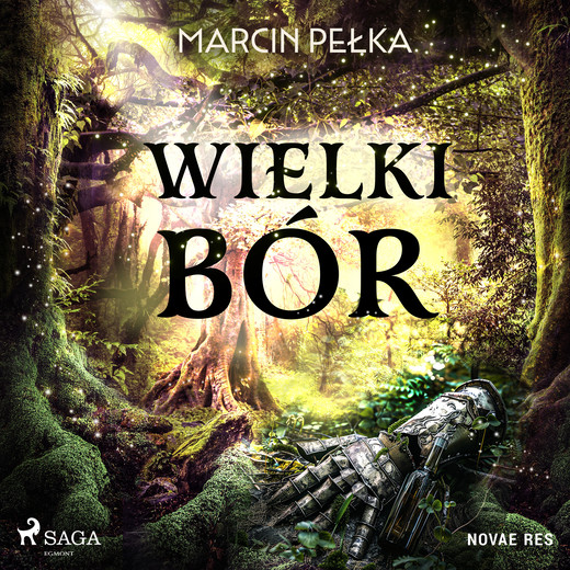okładka Wielki Bór audiobook | MP3 | Marcin Pełka