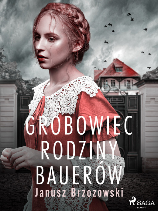 okładka Grobowiec rodziny Bauerów ebook | epub, mobi | Janusz Brzozowski