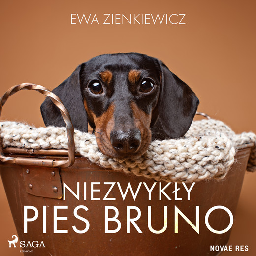okładka Niezwykły pies Bruno audiobook | MP3 | Ewa Zienkiewicz