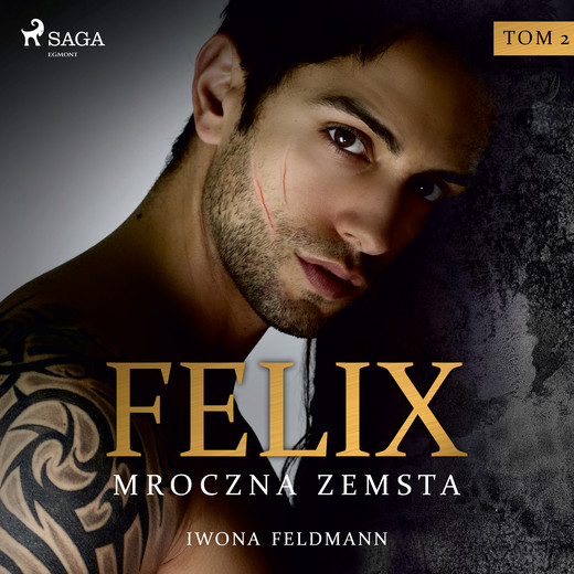 okładka Felix. Mroczna zemsta audiobook | MP3 | Iwona Feldmann