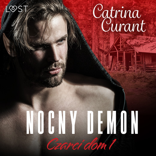 okładka Czarci dom 1: Nocny demon – seria erotyczna audiobook | MP3 | Catrina Curant