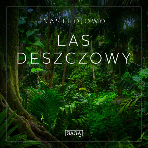 okładka Nastrojowo - Las Deszczowy audiobook | MP3 | Broe Rasmus