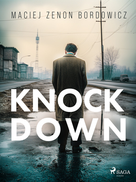 okładka Knockdown ebook | epub, mobi | Maciej Zenon Bordowicz